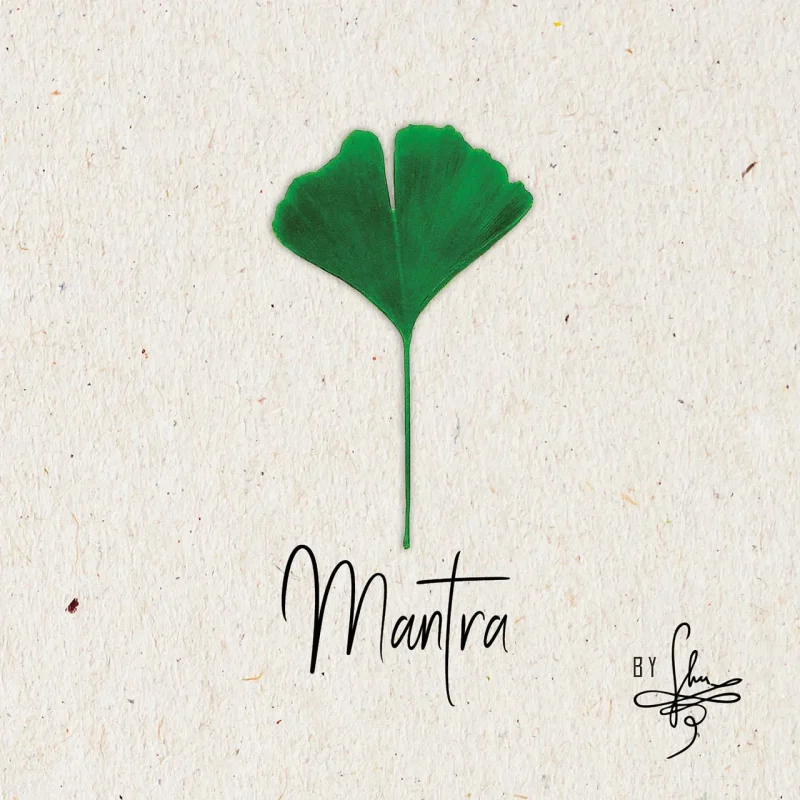 MANTRA SD Karte